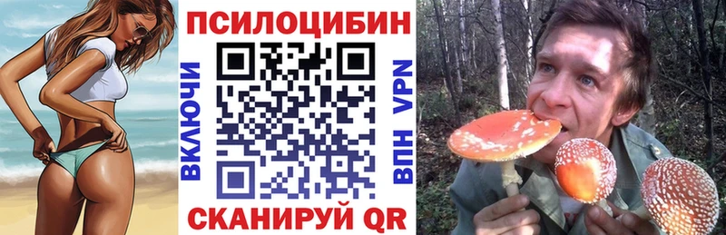 Псилоцибиновые грибы Cubensis  hydra маркетплейс  Зея  хочу  